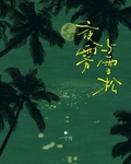夜雾与雪松封面