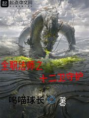 全职法师之十二卫守护封面